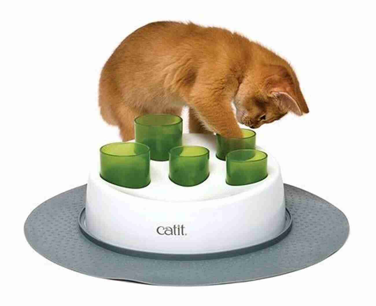 Interactive Toys Keeping Your Cat Entertained And Stimulated The Cat Behavior Answer 2nd Edition: Understanding How Cats Think Why They Do What They Do And How To Strengthen Our Relationships With Them