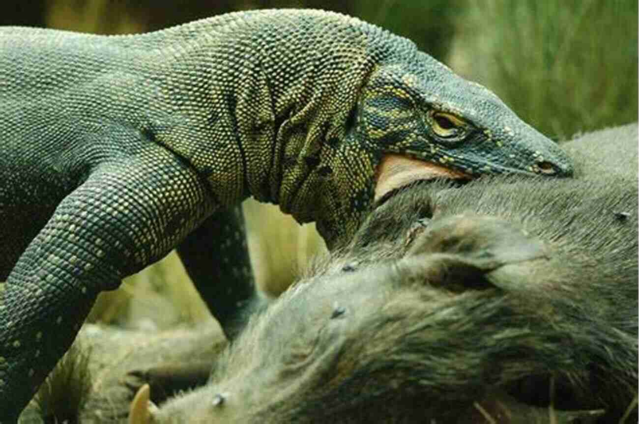 Komodo Dragon Reptiles Of The World Fun Facts For Kids: Reptile For Children Herpetology (Children S Zoology Books)