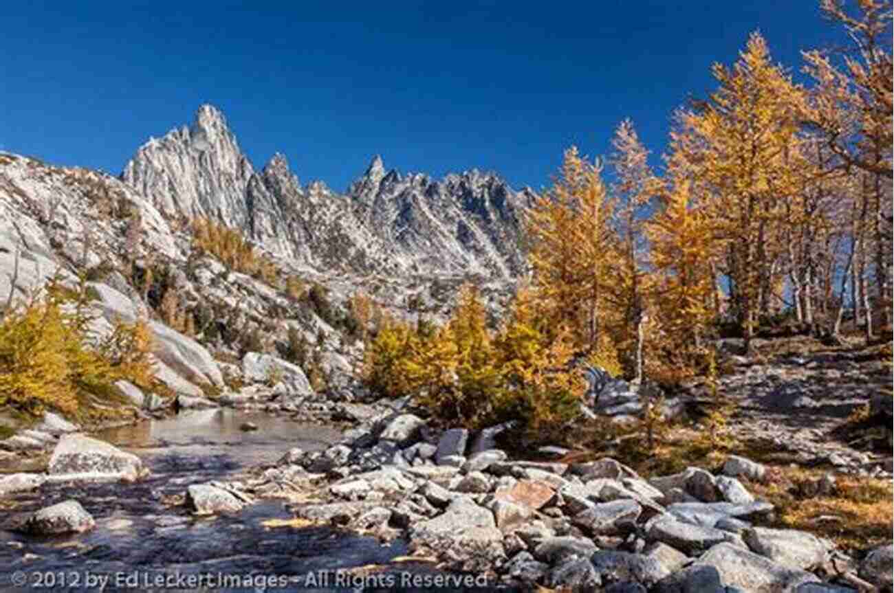 Lakelore: A Gallery Of Enchantments Lakelore Anna Marie McLemore