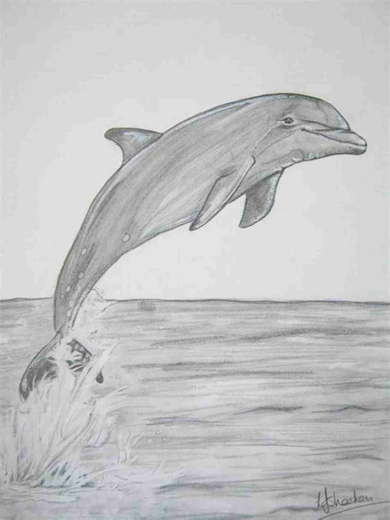 Learn How To Draw A Dolphin A Beautiful Creature Of The Sea How To Draw 20 At The Beach: Learn To Draw Step By Step Drawing Tutorial