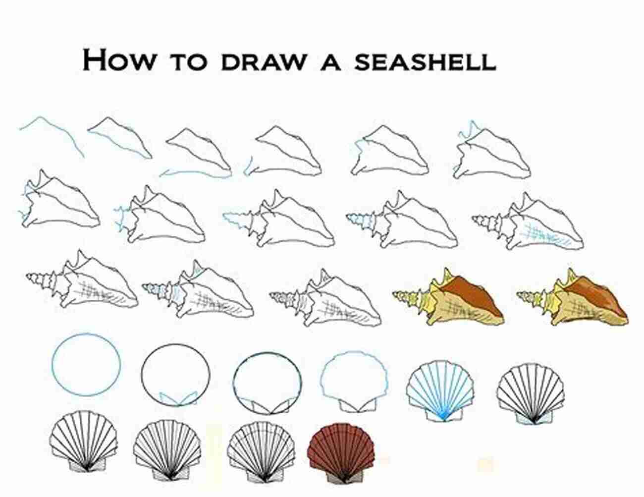 Learn How To Draw A Seashell Easy Tutorial How To Draw 20 At The Beach: Learn To Draw Step By Step Drawing Tutorial