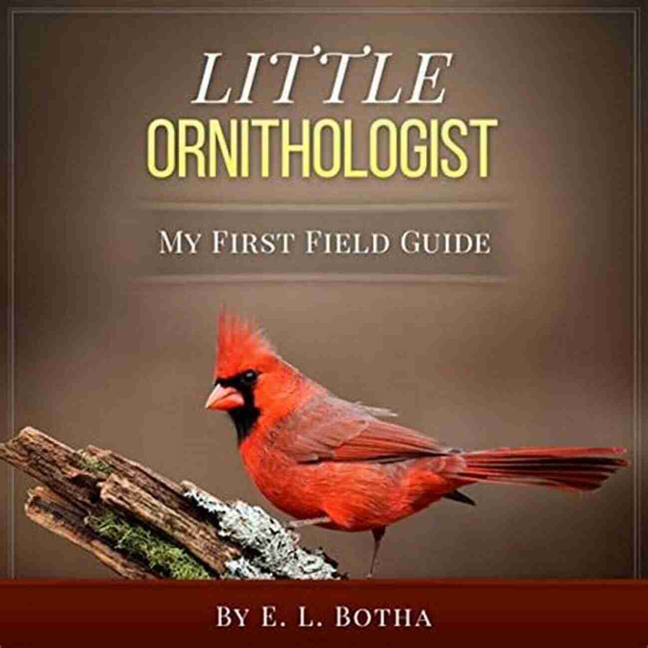 Little Ornithologist My First Field Guide Little Ornithologist (My First Field Guide 1)