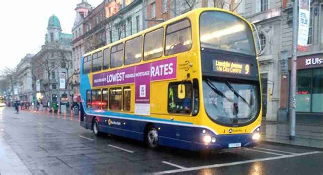 Lost Cat On Dublin Bus Only In Ireland : Weird And Wonderful Encounters On Dublin S Buses