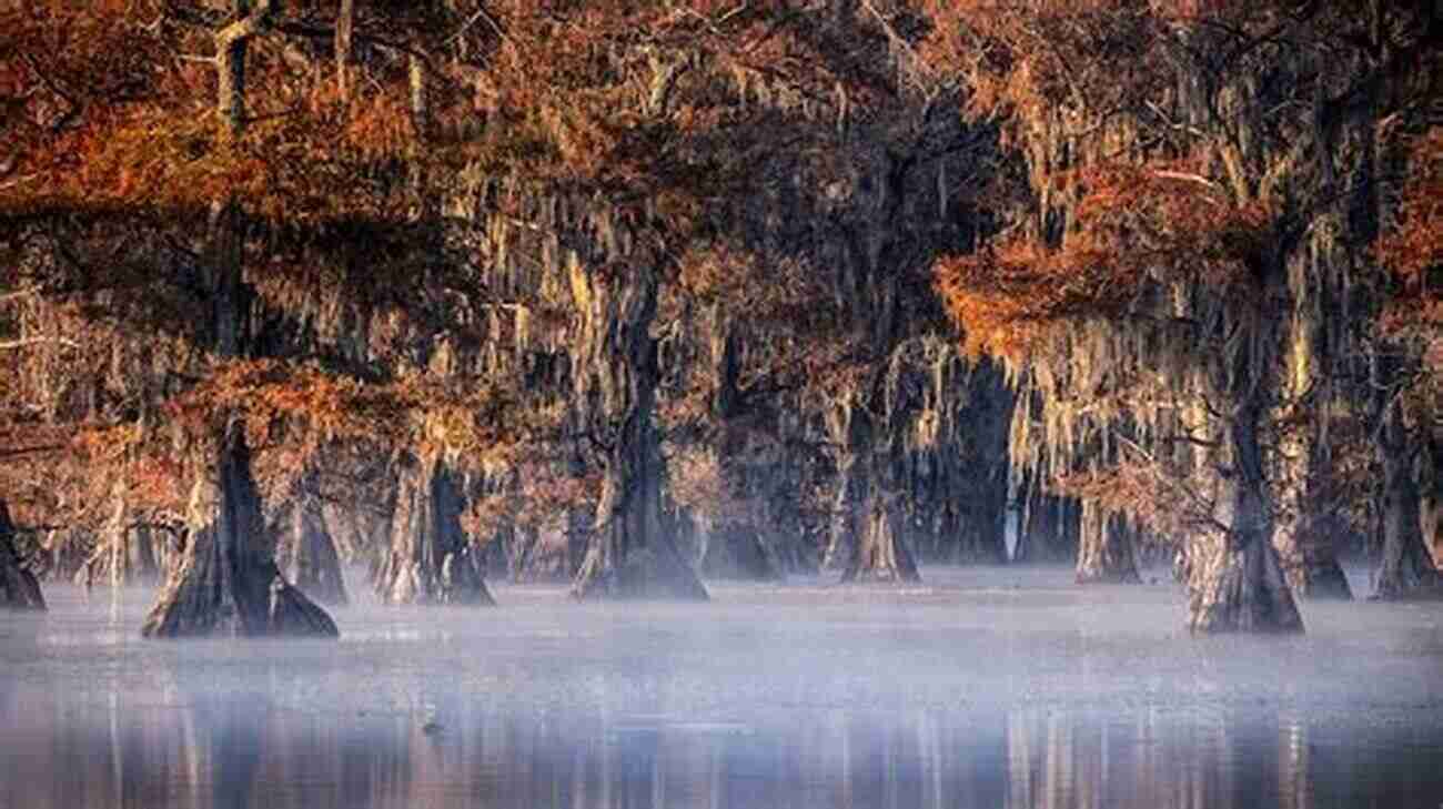 Louisiana's Mystical Swamps And Marshes Finding The Wild West: Along The Mississippi: Louisiana Arkansas Missouri Iowa And Minnesota