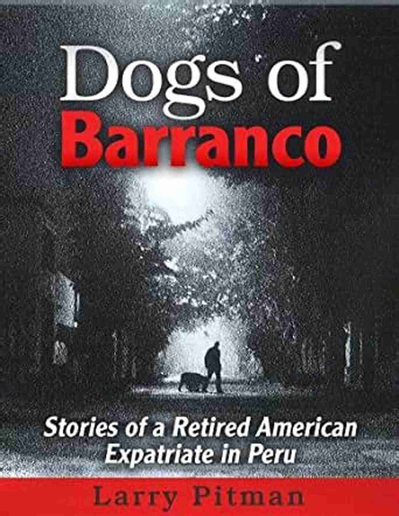 Machu Picchu Ruins Dogs Of Barranco: Stories Of A Retired American Expatriate In Peru