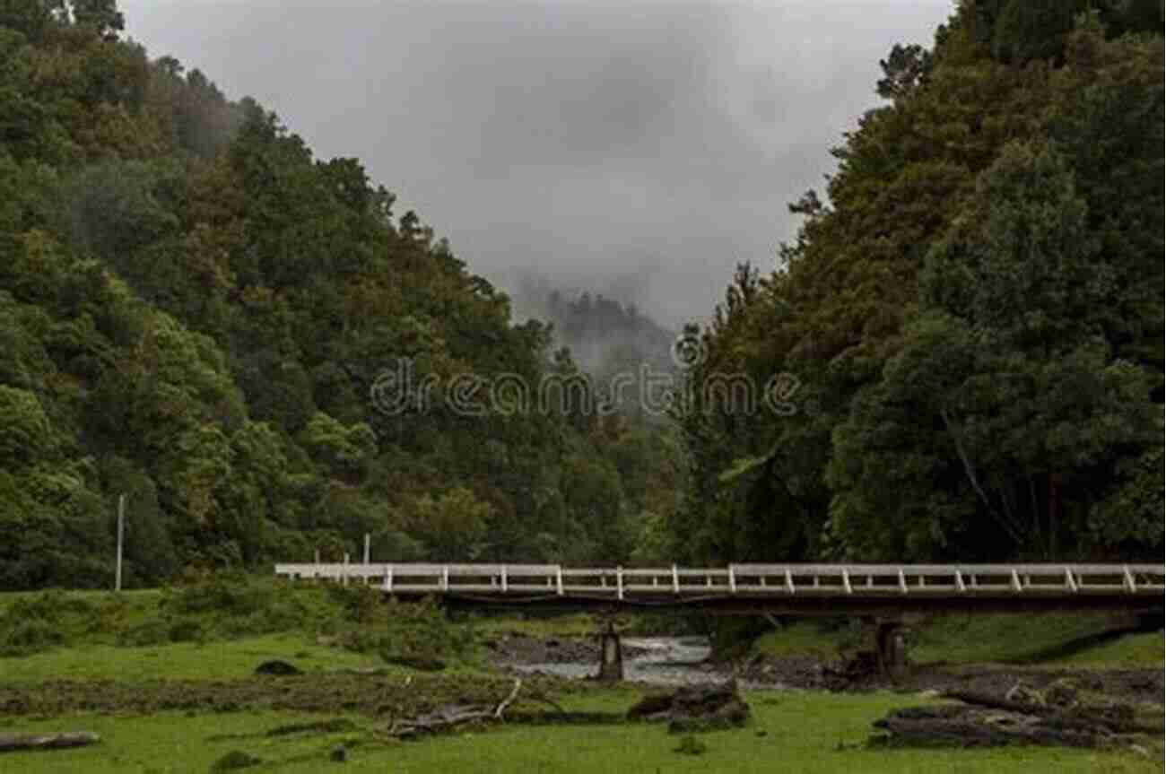 Mysterious Forest Surrounding The Bridge Shade Bridge: A Shade Short Story