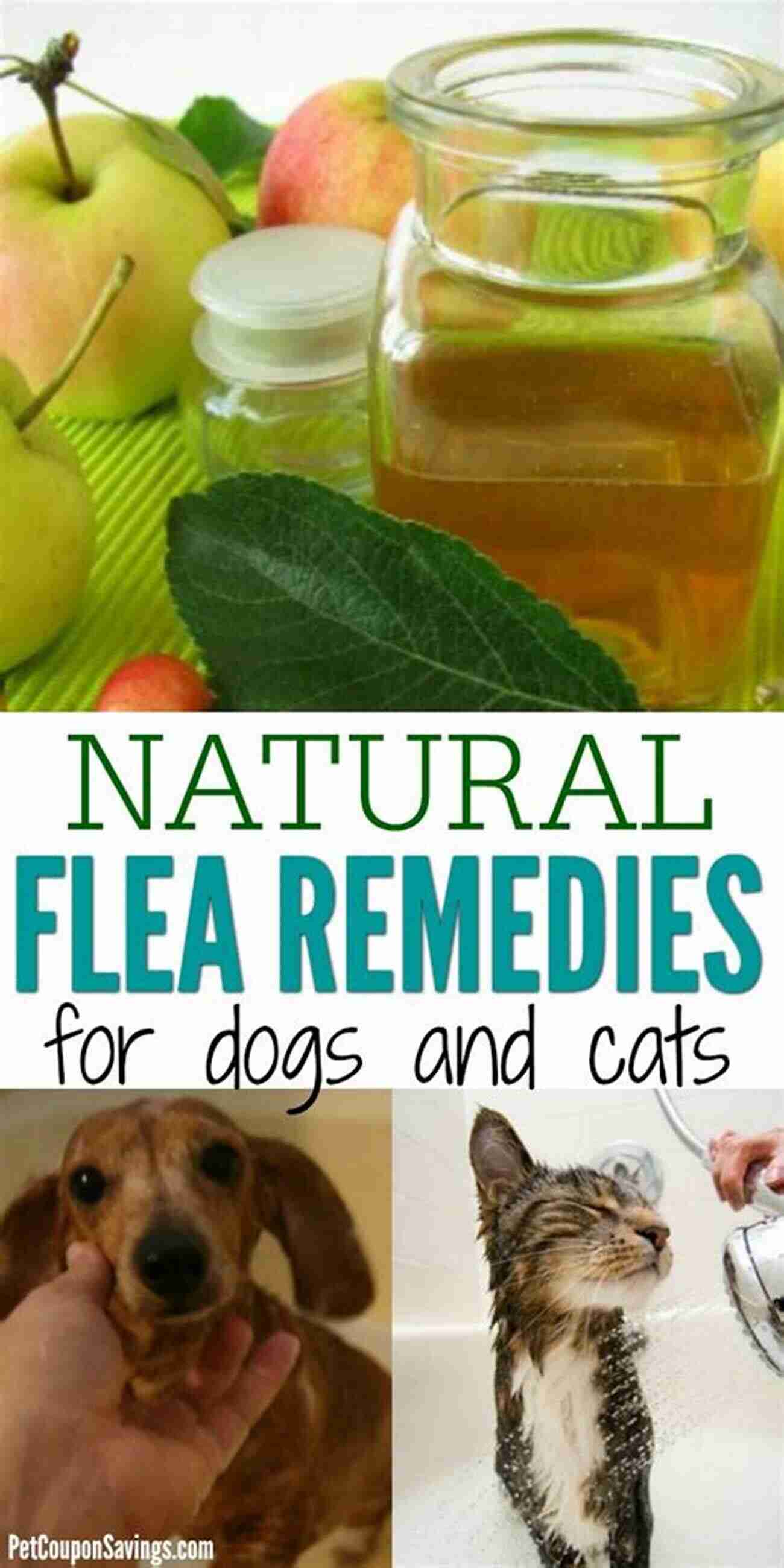 Natural Remedy For Dogs And Cats: Ensuring A Happy And Healthy Life Natural Remedy For Dogs And Cats