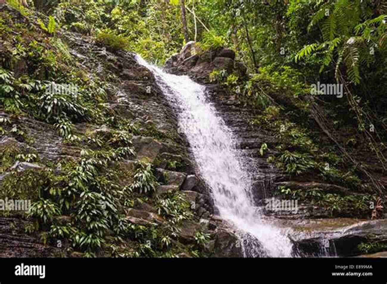 Nature's Sublime: A Majestic Waterfall In A Dense Forest Integral Aesthetics: The Evolutionary Function Of The Sublime