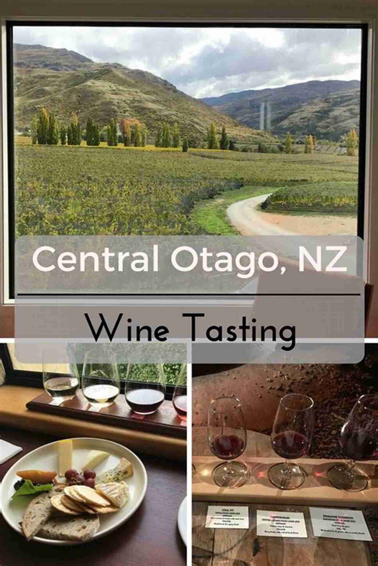 New Zealand Wine Tasting Experience A Taste Of The Best Of New Zealand: Discover The Scenic Beauty Of These Magical Islands