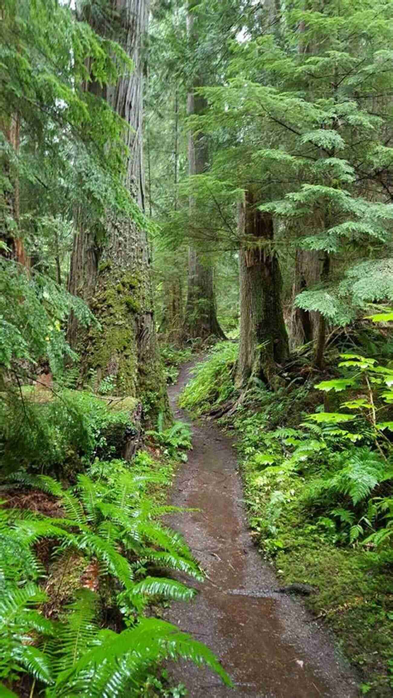 Olympic National Park The Last Wilderness: A History Of The Olympic Peninsula