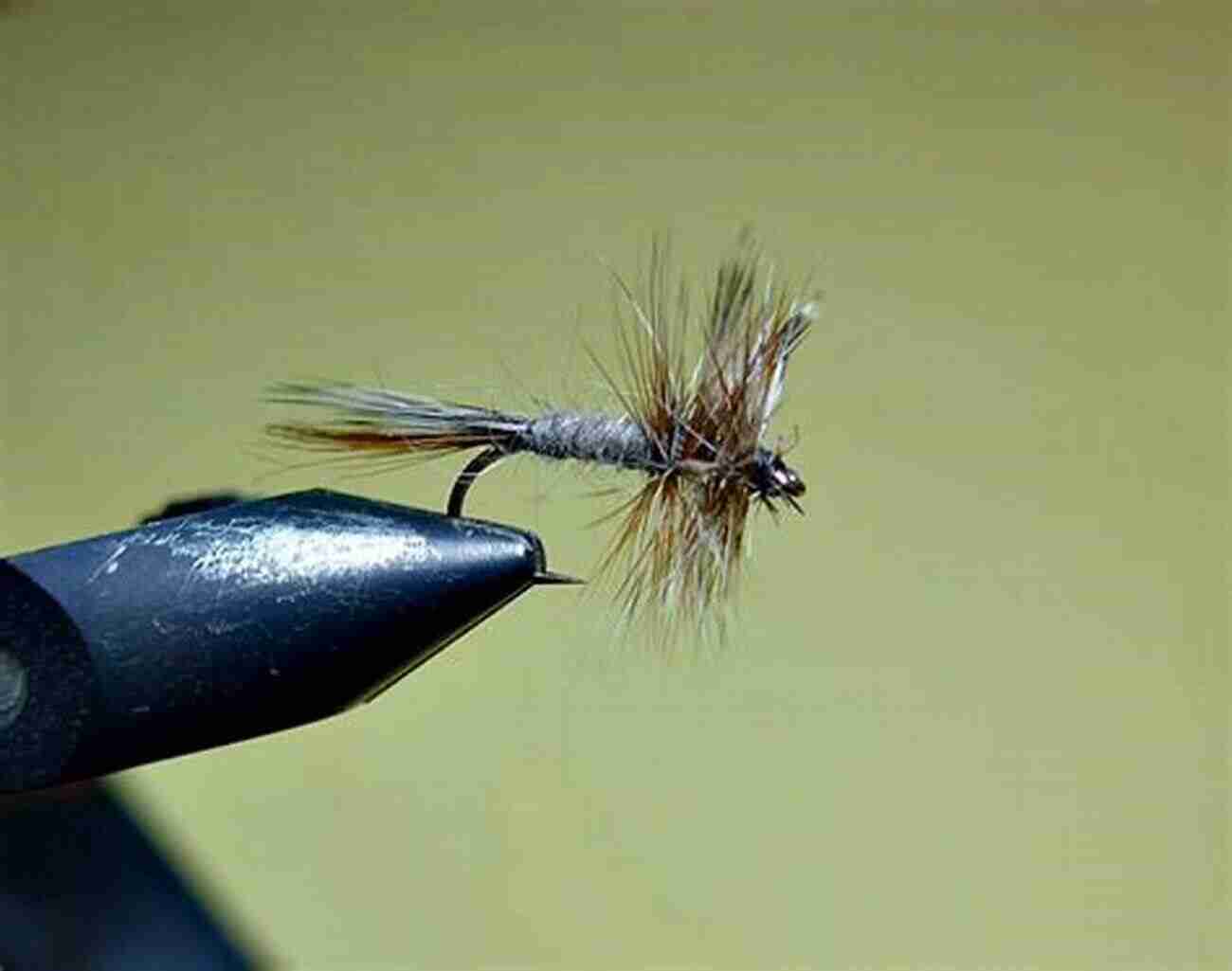 Parachute Adams Fly Favorite Flies For The Catskills: 50 Essential Patterns From Local Experts