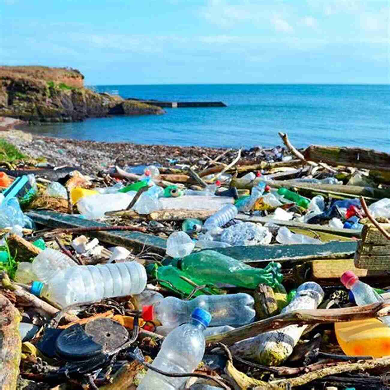 Plastic Pollution Issues In Our Environment: How Are We Killing The Planet We Call Home?