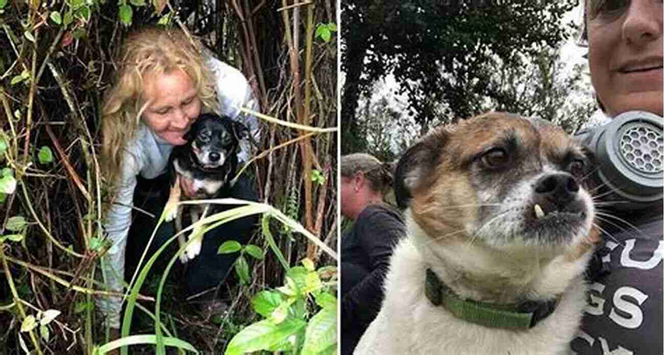 Rescue Dog Surrounded By A Loving Community, Inspiring Change Tails Of My Rescue Dog