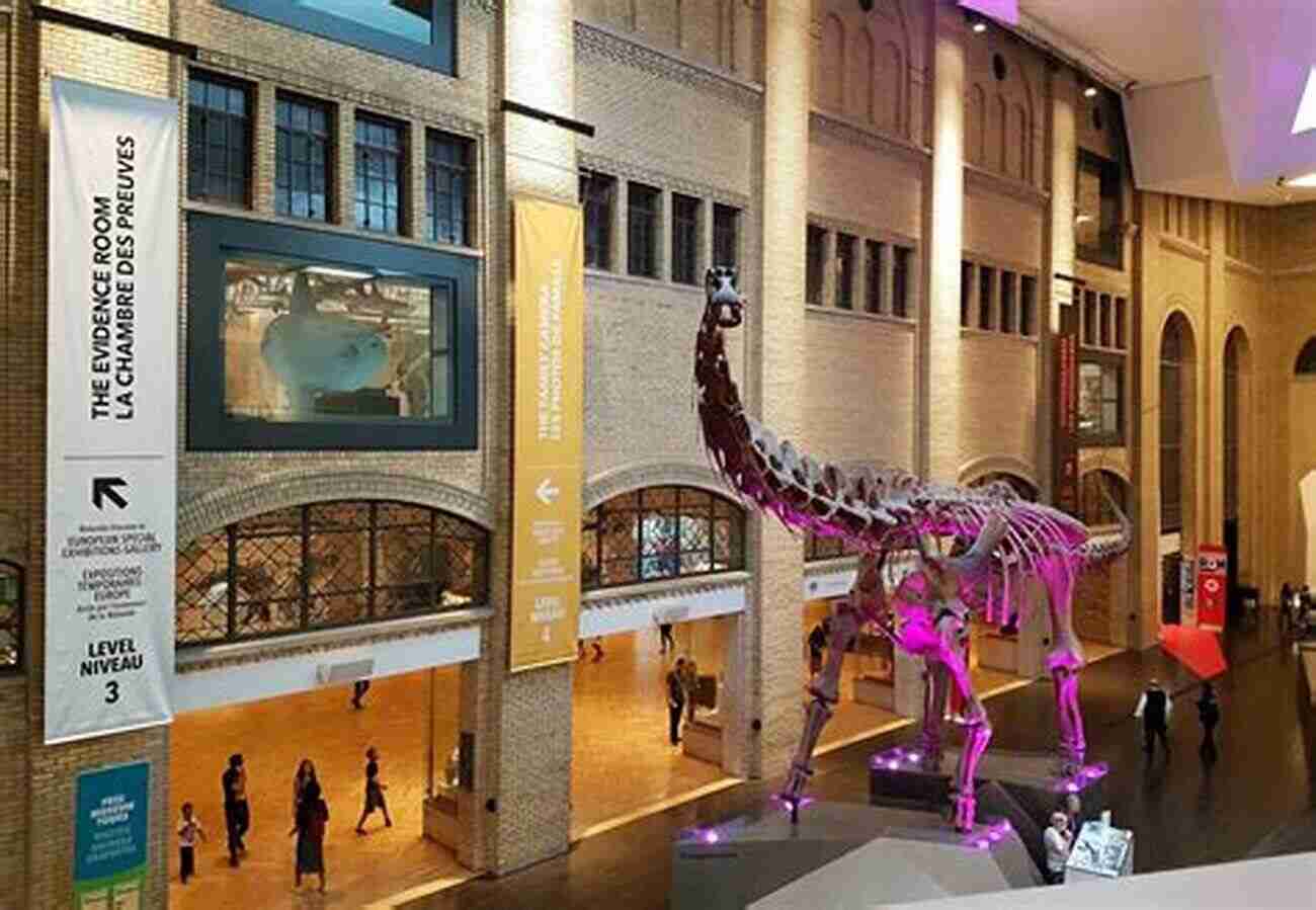 Royal Ontario Museum Home To Diverse Exhibits 90 Awesome Things To Do In Toronto : Everything You Need To Know