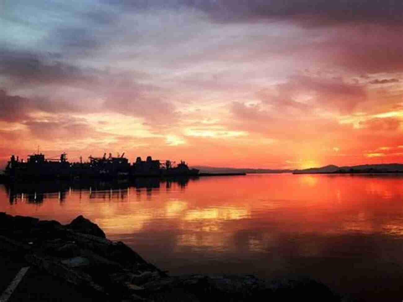 San Francisco Bay During Sunset A Breathtaking View Natural History Of San Francisco Bay (California Natural History Guides 102)