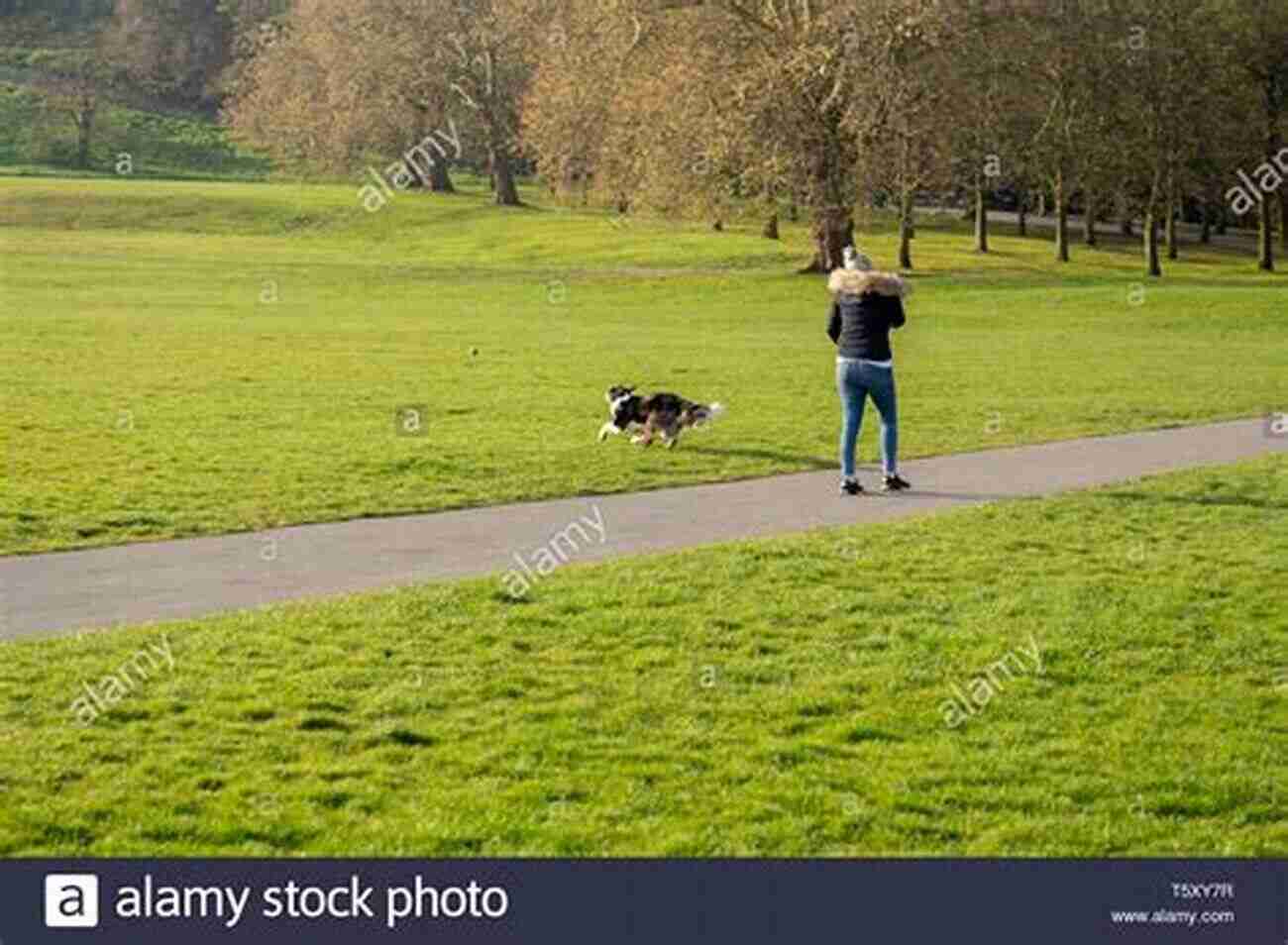 Smiling Woman Playing Fetch With Her Happy Dog In A Park Memoir On Pet Loss: A Heartwarming Story About The Importance Of A Dog S Love: Story About The Importance Of A Dog S Love