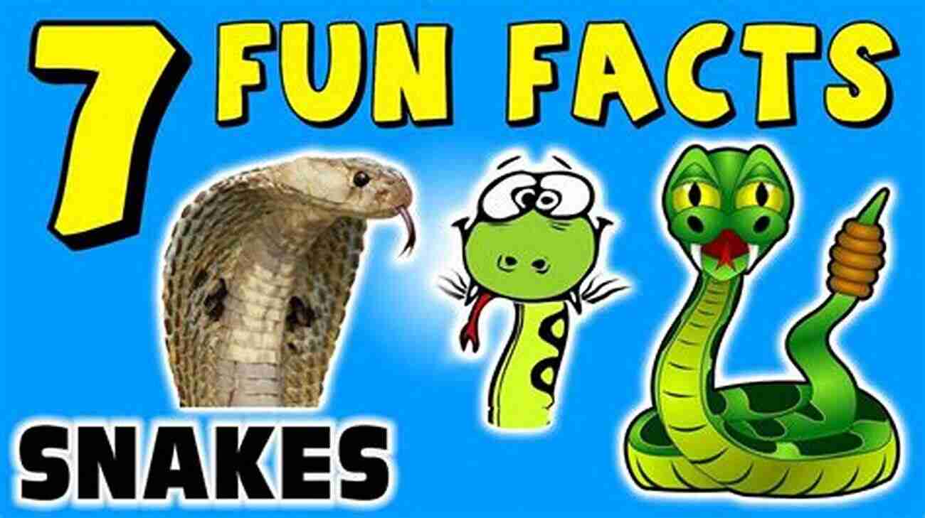 Snake Reptiles Of The World Fun Facts For Kids: Reptile For Children Herpetology (Children S Zoology Books)