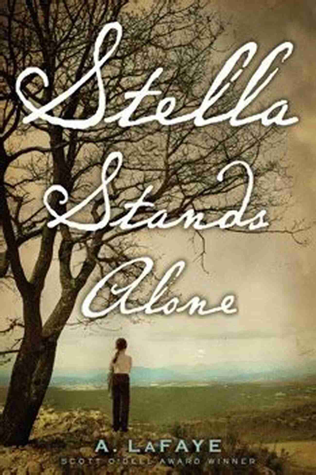 Stella Stands Alone Lafaye A Determined Woman Walking Alone In A Field Of Challenges Stella Stands Alone A LaFaye