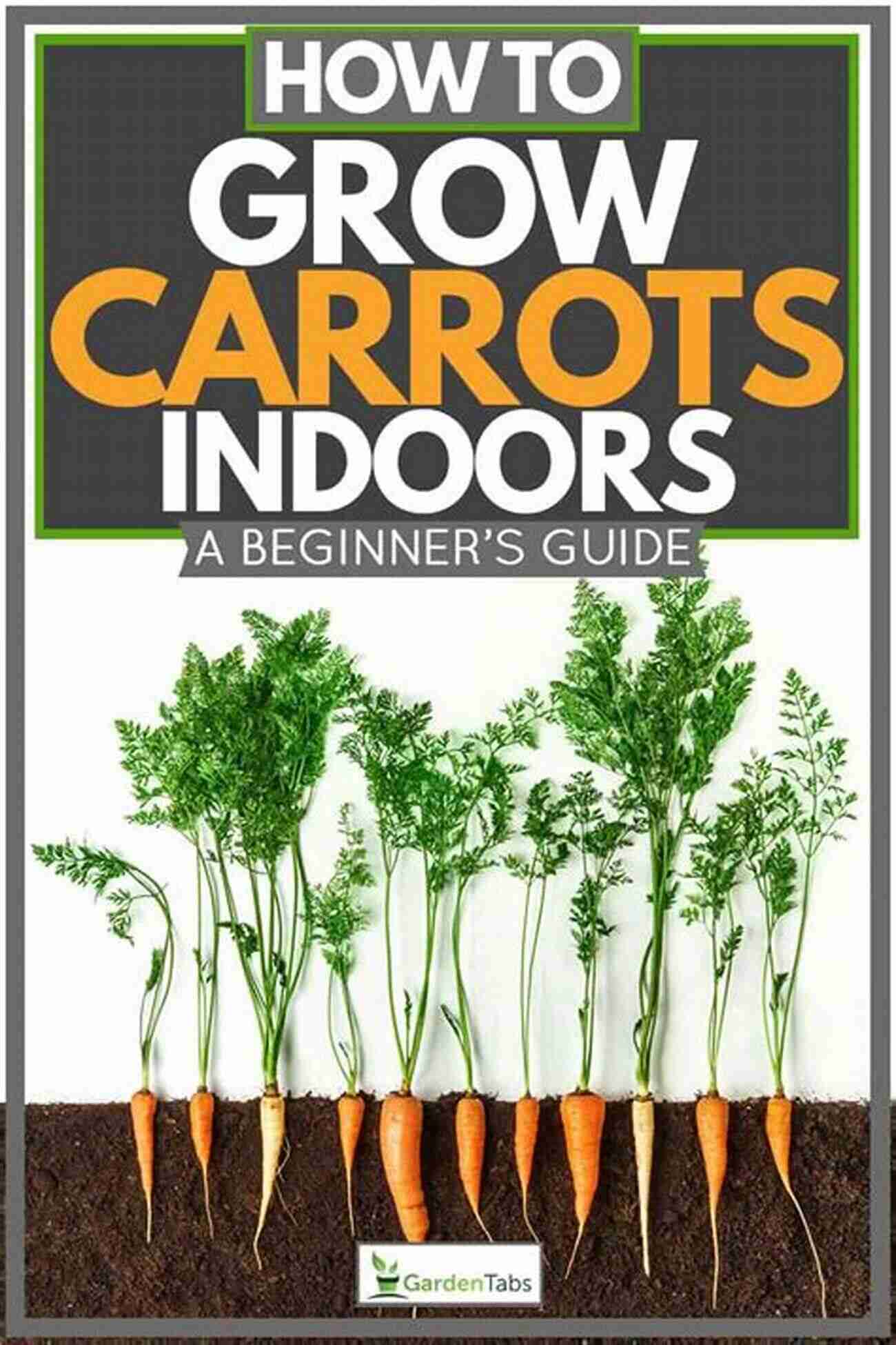 Step By Step Guide To Growing Carrots At Home Sissy Plants A Carrot (Growing 1)