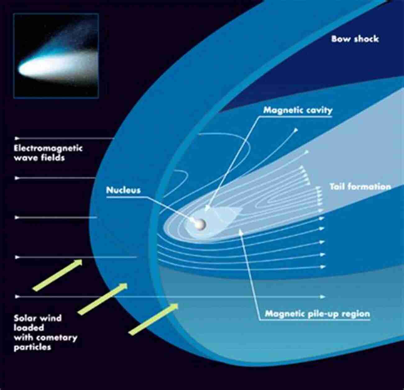 Structure Of A Comet Comets: 101 Facts Trivia Anura Guruge