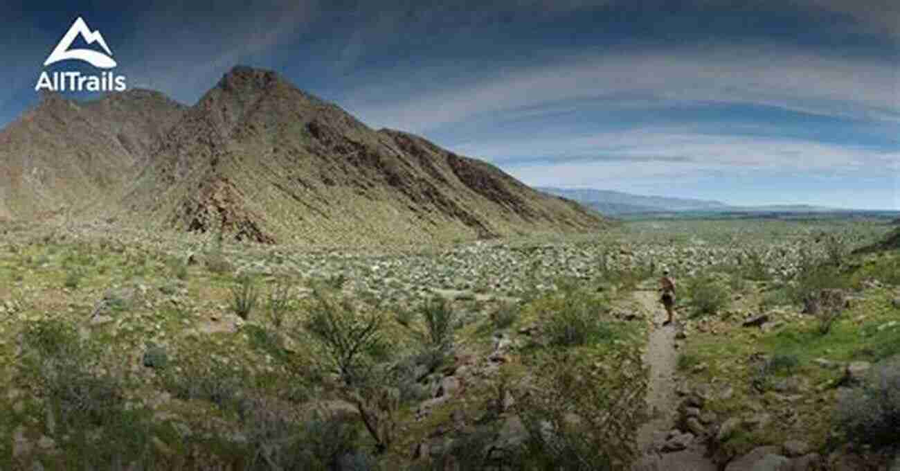 Stunning Hiking Trails In The Anza Borrego Desert Region Anza Borrego Desert Region: Your Complete Guide To The State Park And Adjacent Areas Of The Western Colorado Desert