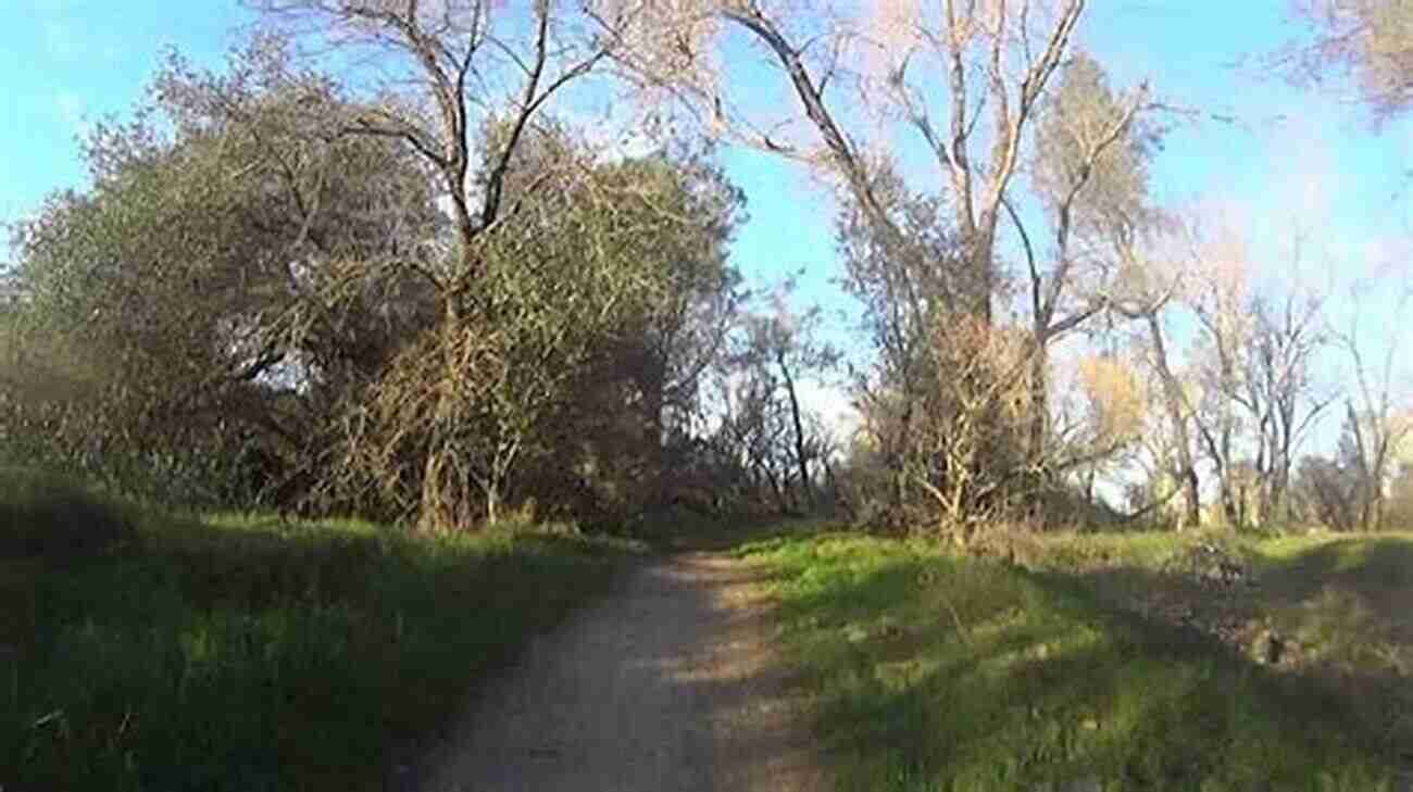 Take A Stroll Along The Picturesque Lake Natoma Loop Trail Best Easy Day Hikes Sacramento (Best Easy Day Hikes Series)