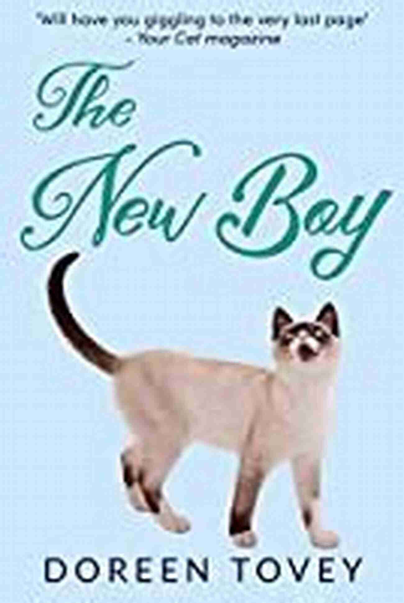 The New Boy Feline Frolics Cat Adventure The New Boy (Feline Frolics 5)