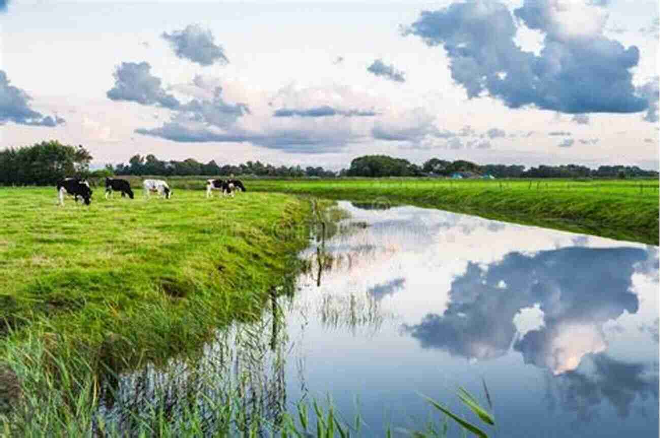 The Beautiful Landscape Of The Dairy Farm The Dairy Farm Adventure Ijeoma Ntukogu