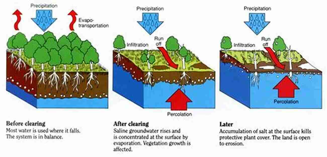 The Future Of Salinity Management In Agriculture Soil Salinity Management In Agriculture: Technological Advances And Applications (Innovations In Agricultural Biological Engineering 9)