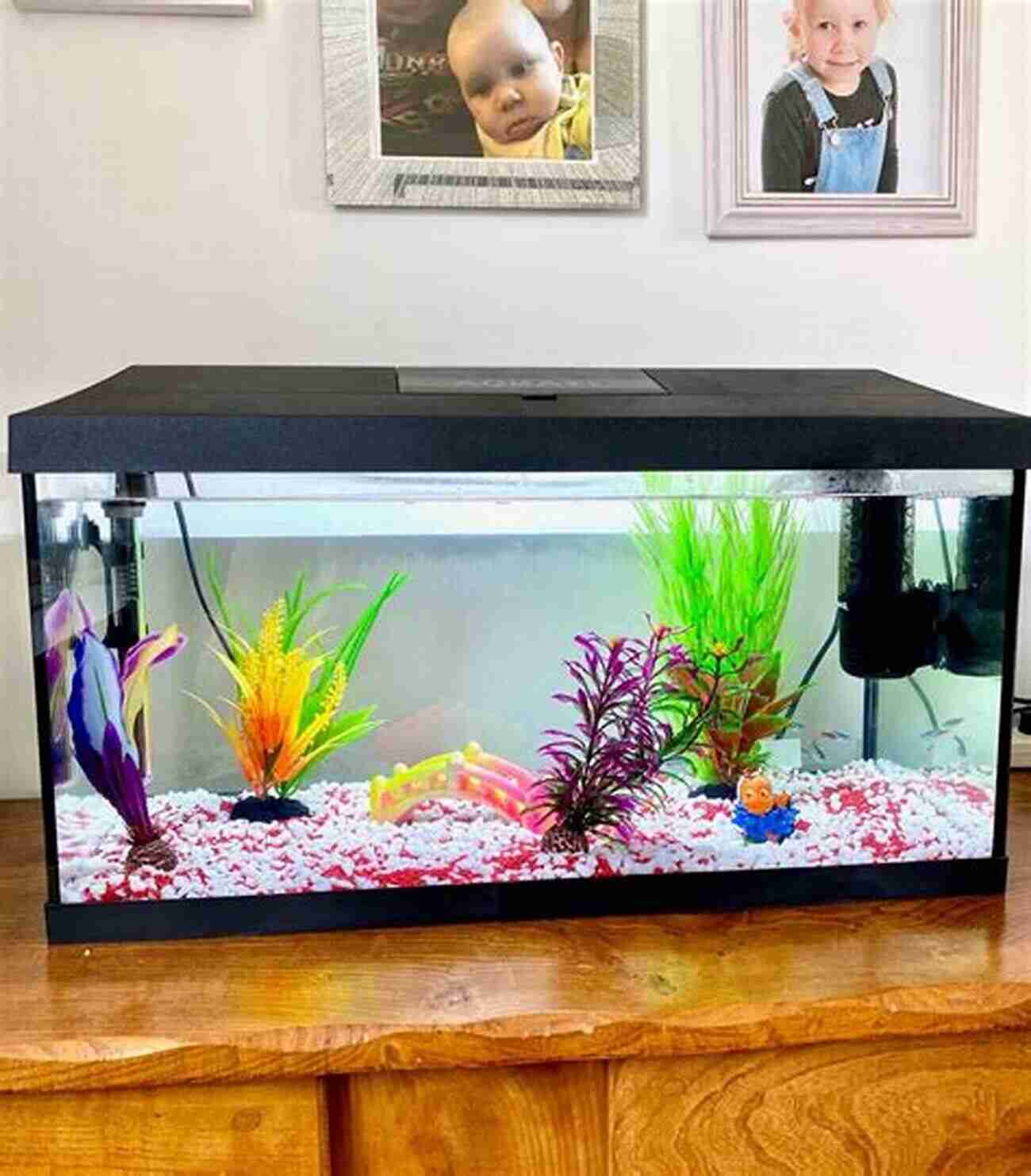 Tropical Fish Setup Essential Tropical Fish Setup Maintenance: The Simplified Guide To Setting Up Your Tank And Looking After Your Fish