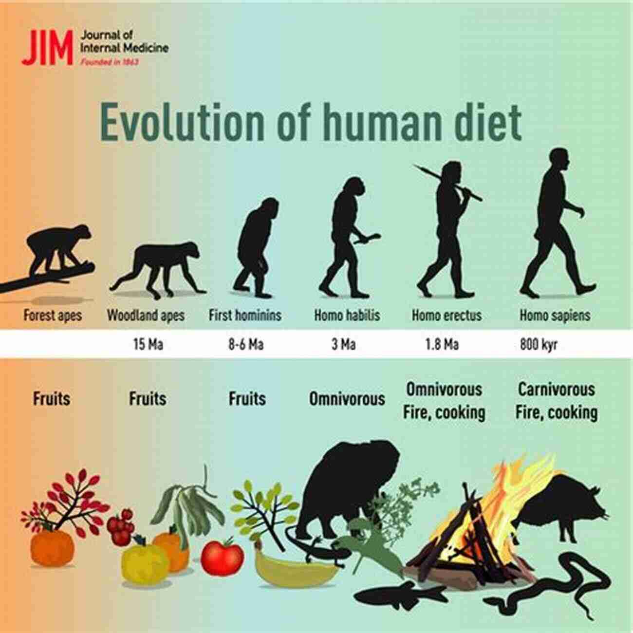 Tyrannosaurid Paleobiology: Delving Into Their Behavior, Diet, And Evolutionary History Tyrannosaurid Paleobiology (Life Of The Past)