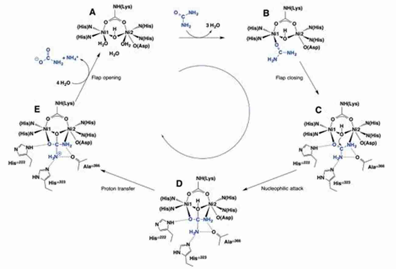 Urease Enzyme The Biological Chemistry Of Nickel (ISSN 10)