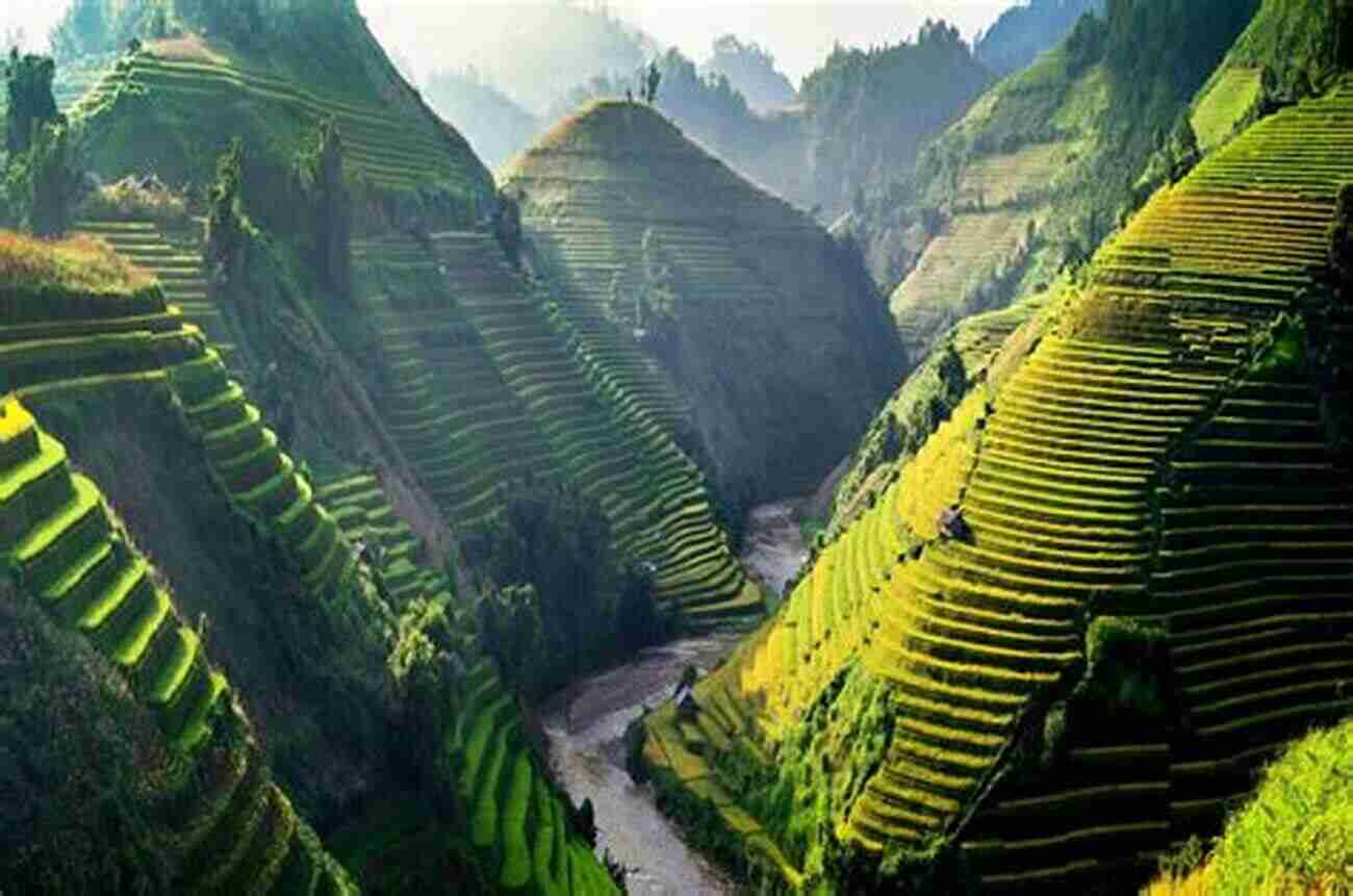 Vietnam's Breathtaking Rice Fields Letters From Vietnam: Or Should It Be Lessons From Vietnam?