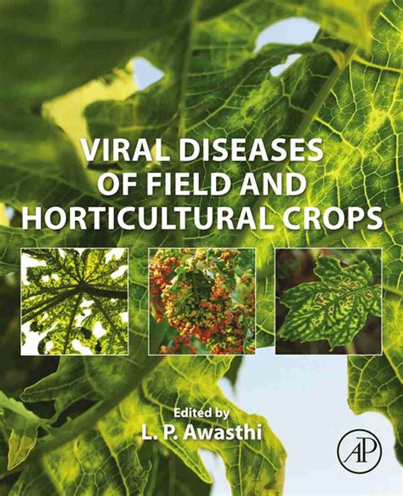 Viral Diseases On Horticultural Crops Diseases Of Horticultural Crops: Diagnosis And Management: Volume 4: Important Plantation Crops Medicinal Crops And Mushrooms (Innovations In Horticultural Science)