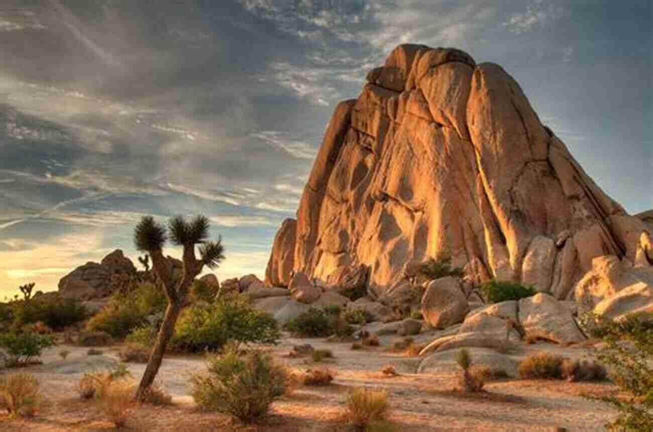 Witness The Majestic Beauty Of Joshua Tree National Park Greater Than A Tourist Joshua Tree California USA: 50 Travel Tips From A Local (Greater Than A Tourist California)