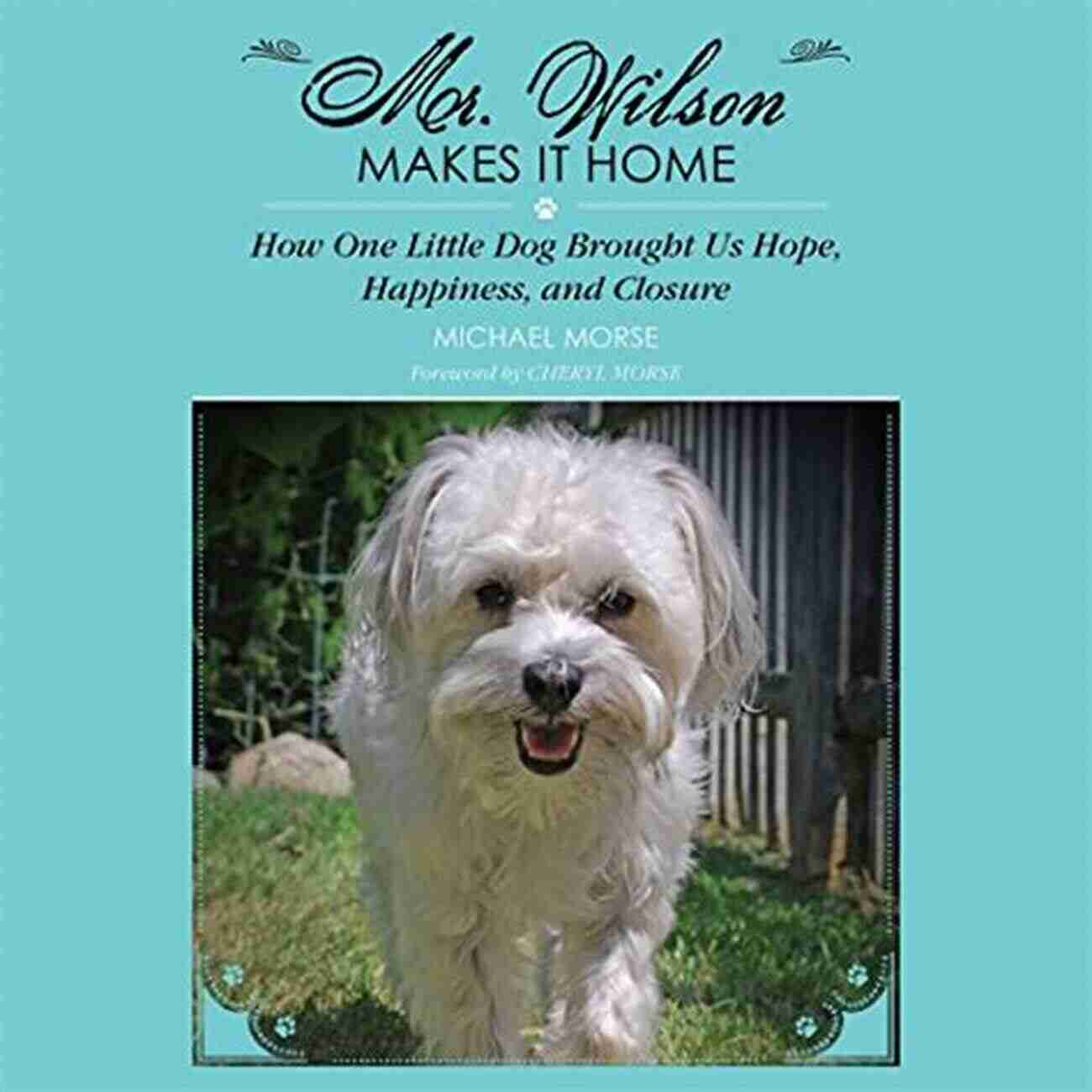 Adorable Dog Brings Hope, Happiness And Closure Mr Wilson Makes It Home: How One Little Dog Brought Us Hope Happiness And Closure