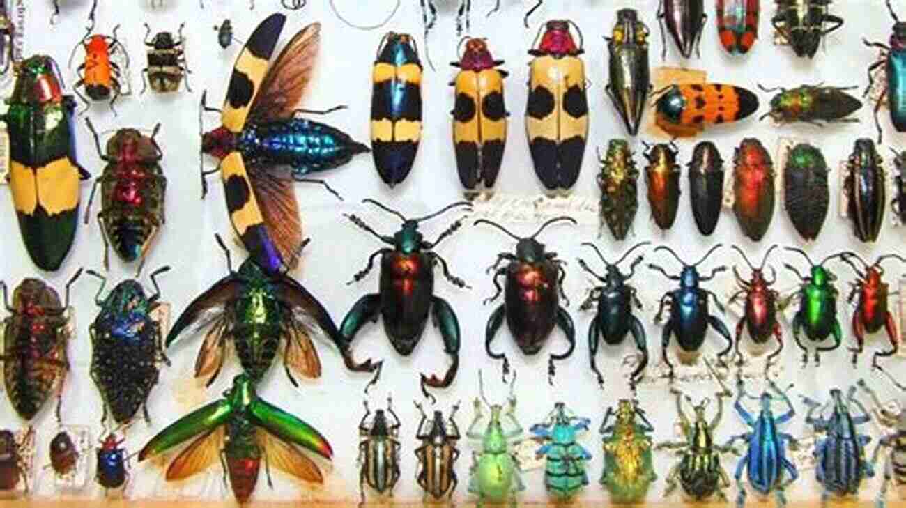 Diverse Insects On Colorful Flowers The Endangered Mammals From Around The World : Animal For Kids Age 9 12 Children S Animal