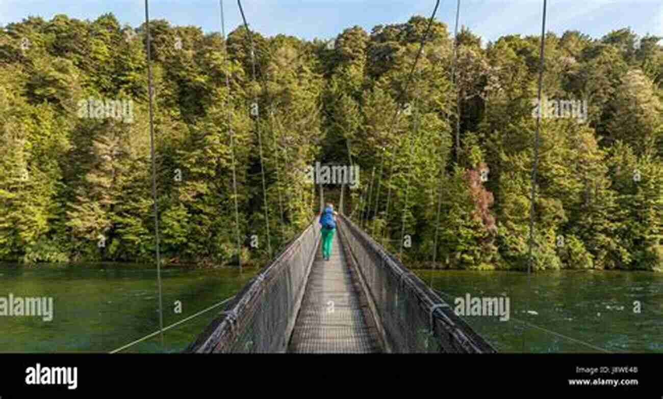 Hiker Crossing A Suspension Bridge In Fiordland National Park Five Star Trails: Adirondacks: Your Guide To 46 Spectacular Hikes