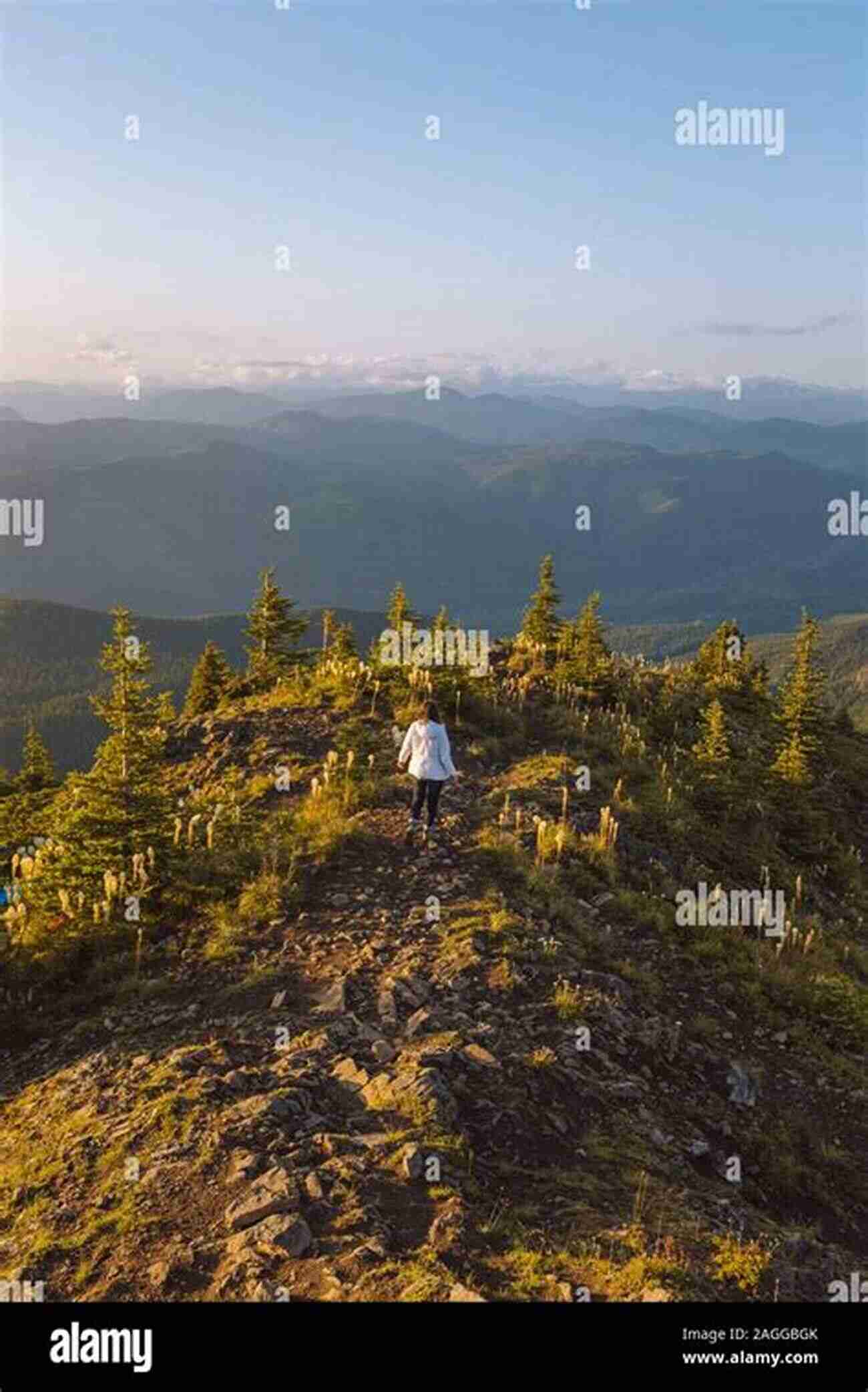 Hiker Enjoying The View Of Mount Rainier Five Star Trails: Adirondacks: Your Guide To 46 Spectacular Hikes