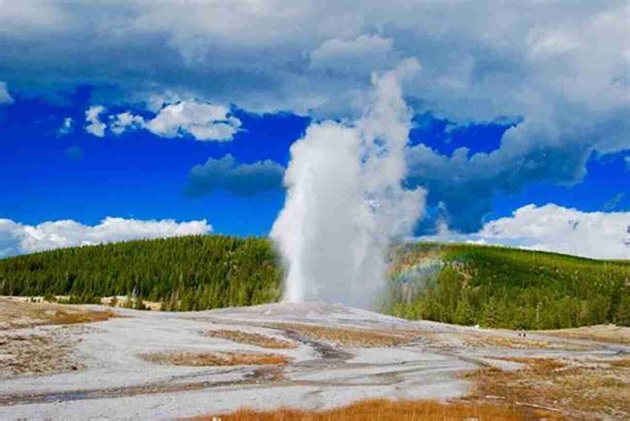 Yellowstone National Park Mountains And Geysers Forty Years Of Trips To Yellowstone National Park: The True Story Of A Family S Trips To Yellowstone National Park