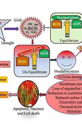 Translational Genomics For Crop Breeding Volume 2: Improvement For Abiotic Stress Quality And Yield Improvement