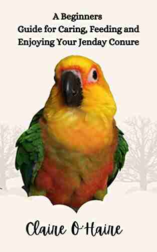 A Beginners Guide for Caring Feeding and Enjoying Your Jenday Conure