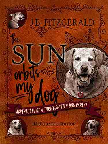 The Sun Orbits My Dog: Adventures Of A Thrice Smitten Dog Parent