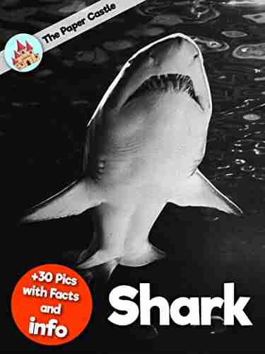 Shark Information Book: Amazing Facts For Kids With High Quality Pictures Little Kids Picture (Animals Facts Info With High Quality Pics For Kids)