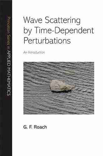 Wave Scattering By Time Dependent Perturbations: An Introduction (Princeton In Applied Mathematics 19)