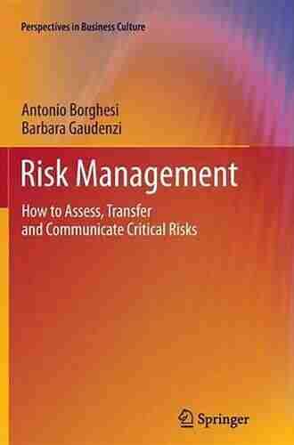 Risk Management: How to Assess Transfer and Communicate Critical Risks (Perspectives in Business Culture)