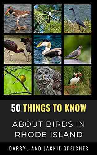 50 Things To Know About Birds In Rhode Island : Birding In The Ocean State (50 Things To Know About Birds United States)