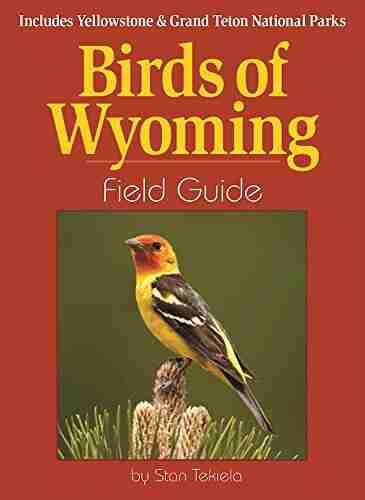 Birds Of Wyoming Field Guide: Includes Yellowstone Grand Teton National Parks (Bird Identification Guides)