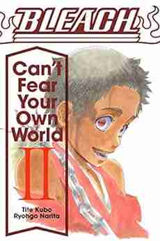 Bleach: Can t Fear Your Own World Vol 2