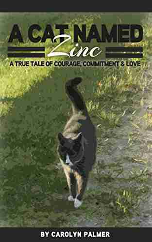 A Cat Named Zinc A True Tale Of Courage Commitment Love